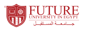 Future University - MBA